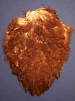 Rhode Island Red Hen Saddle